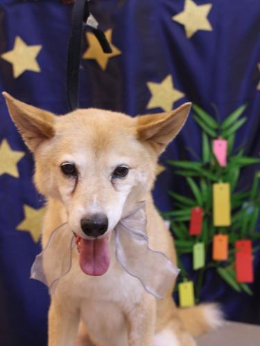 20230712ライトくん